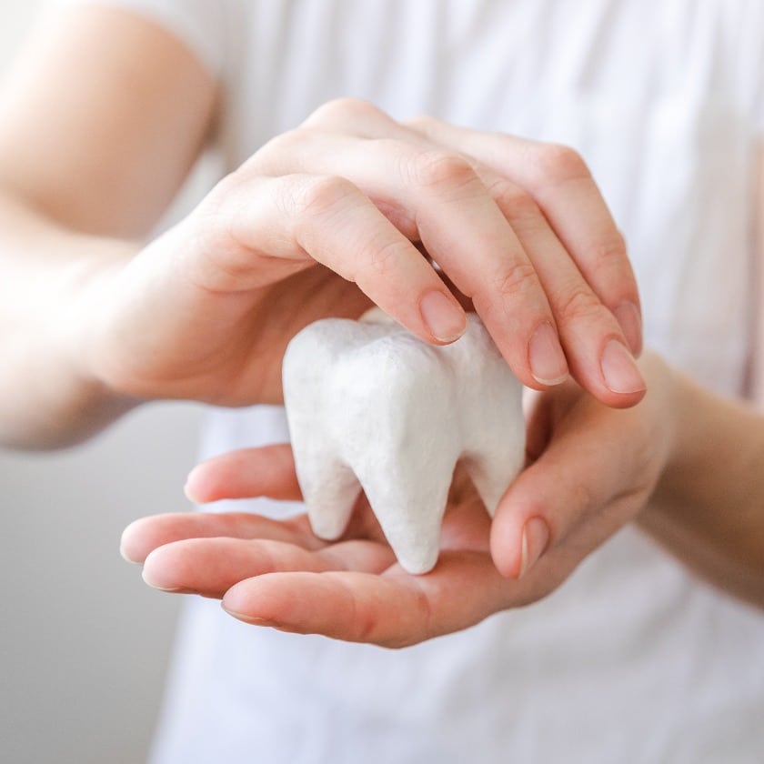 Health dental care concept. Woman hand holding white healthy tooth model isolated on white background. Teeth whitening, dental oral hygiene, teeth restoration, dentist day